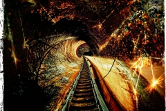 12_12224152_528602123962083_1842545435_n