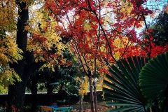 14_11374374_1515305492121719_1303389489_n