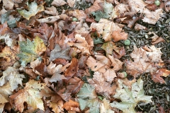 16_11355840_1699579293608507_951501062_n