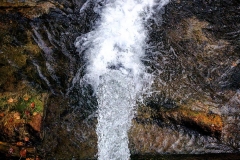 17_12145418_1645015032442089_730454606_n