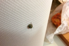 18_11909319_558517597633216_1520825637_n