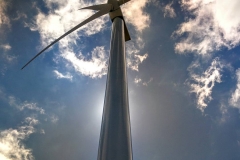 19_11934735_874499445952130_2087972121_n