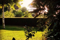 20_11887197_957460650959522_143533123_n