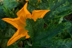 22_11934857_1615770848692503_1333563619_n