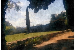 25_11311264_964591256932157_623550146_n