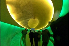 37_10369449_1594685717448087_302707754_n