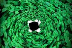 43_11327224_438152026358424_1138588485_n