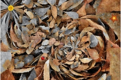 49_11250182_479201658904559_1899173632_n