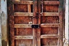 8_10311125_1710263179207385_1583265074_n