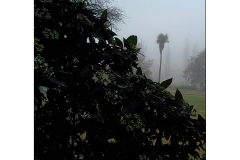 9_12362472_1638139129769194_249240680_n