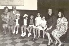 FamiExtensa4