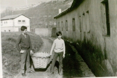 YoPedrosa