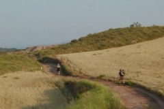 P1010006