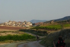 P1010007