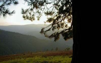 Monte Gorabea / Astobitza (577 m)